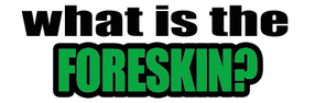 What is the foreskin?