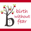 Sponsor: Birth Without Fear